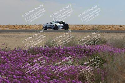 media/Feb-12-2023-Club Racer Events (Sun) [[9ed0490a96]]/1-Super Advanced (Red)/Session 3 (Turn 2)/